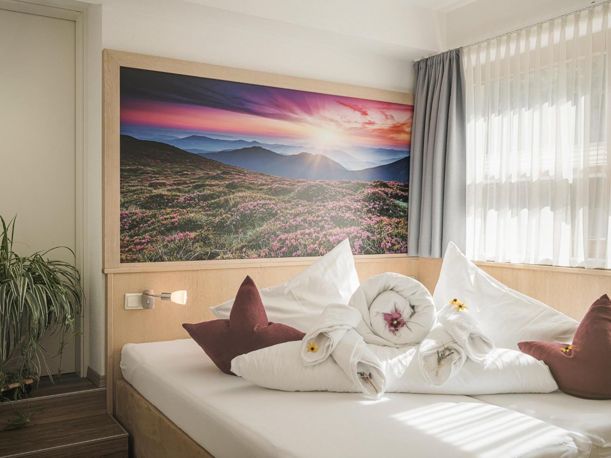 Apart Central - Premium Mountain&Garden Mayrhofen Oda fotoğraf